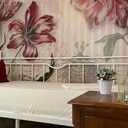 Apartment Studio Twin Cool Timisoara